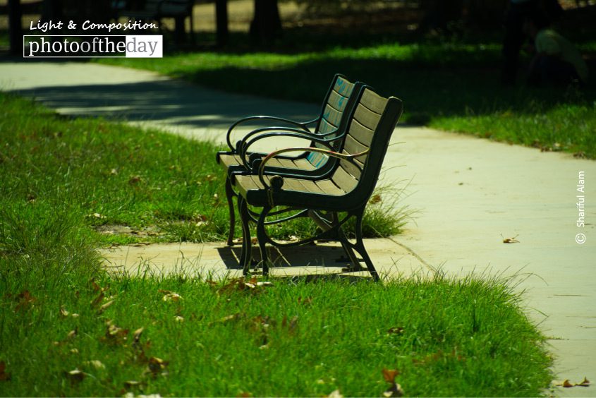 Waiting, by Shariful Alam - Still Life Photography, Photo of the Day, Photography Awards, Art Photography, Online Photography Courses