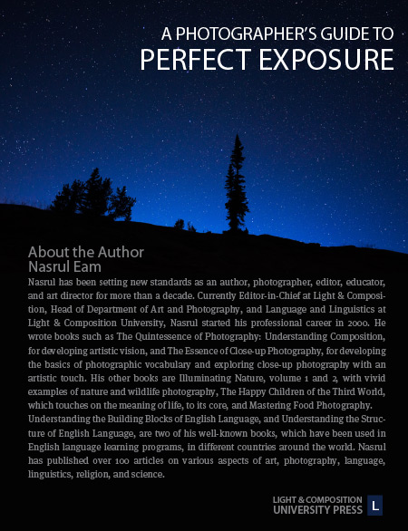 A Photographer's Guide to Perfect Exposure - Exposure, Photography, Photography Techniques, Camera Settings, Lighting