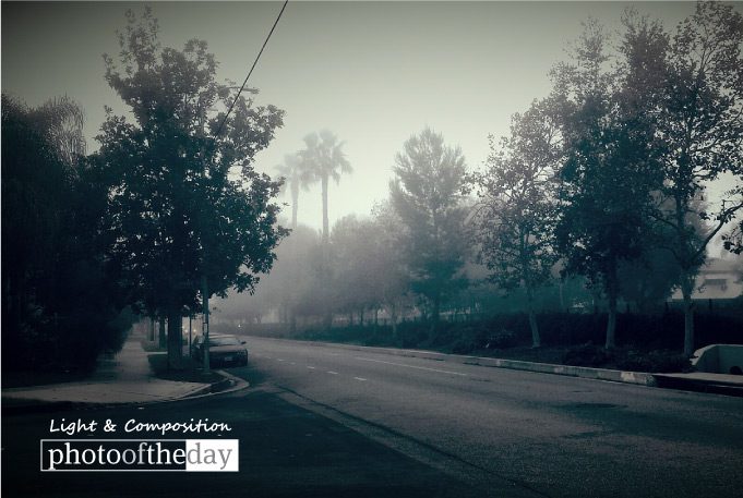 When It's Cloudy, by Shariful Alam - Artistic Photography, Photo of the Day, Photography Awards, Online Photography Courses, Light & Composition University