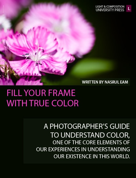 Photography, Color Photography, Color Theory, Digital Photography, Online Photography Courses - Fill Your Frame with True Color Fill Your Frame with True Color - Photography, Color Photography, Color Theory, Digital Photography, Online Photography Courses