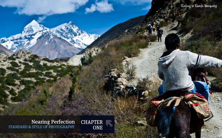 The Quintessence of Photography - Photography Composition, Art Photography, Photojournalism, Photography Education, Online Photography Courses