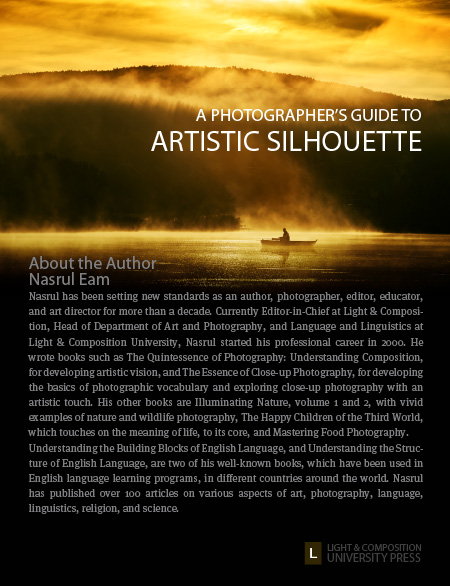 A Photographer's Guide to Artistic Silhouette - silhouette photography, photography techniques, artistic photography, photography guide,  Light & Composition