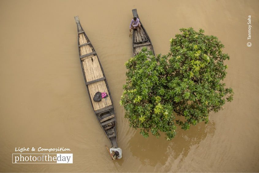 Photo of the Month | 64th Month - Photography Awards, Photo of the Month, Photography Competition, Winning Photography, Art Photography