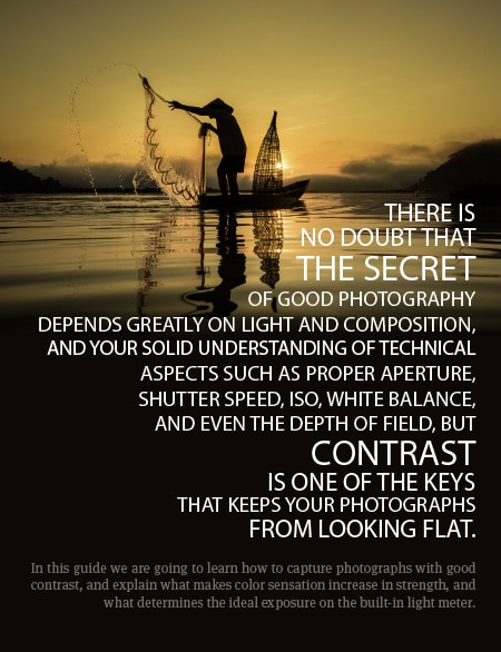 Contrast That Reveals the Subject - Photography Contrast, Image Contrast, Photography Techniques, Photography Education, Light & Composition