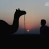 The Nomadic Silhouette, by Sudeep Mehta - Photojournalism, Travel Photography, Photography Awards, Sudeep Mehta, Nomadic Silhouette