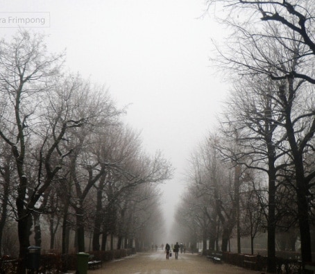 Winter in My Mind, by Sandra Frimpong - Nature Photography, Photo of the Day, Photography Awards, Art Photography, Online Photography Courses