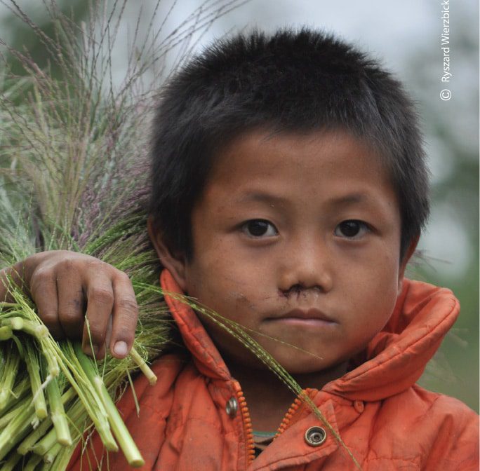 Harvesting Boy, by Ryszard Wierzbicki - Photojournalism, Documentary Photography, Portrait Photography, Award-Winning Photography, Ryszard Wierzbicki