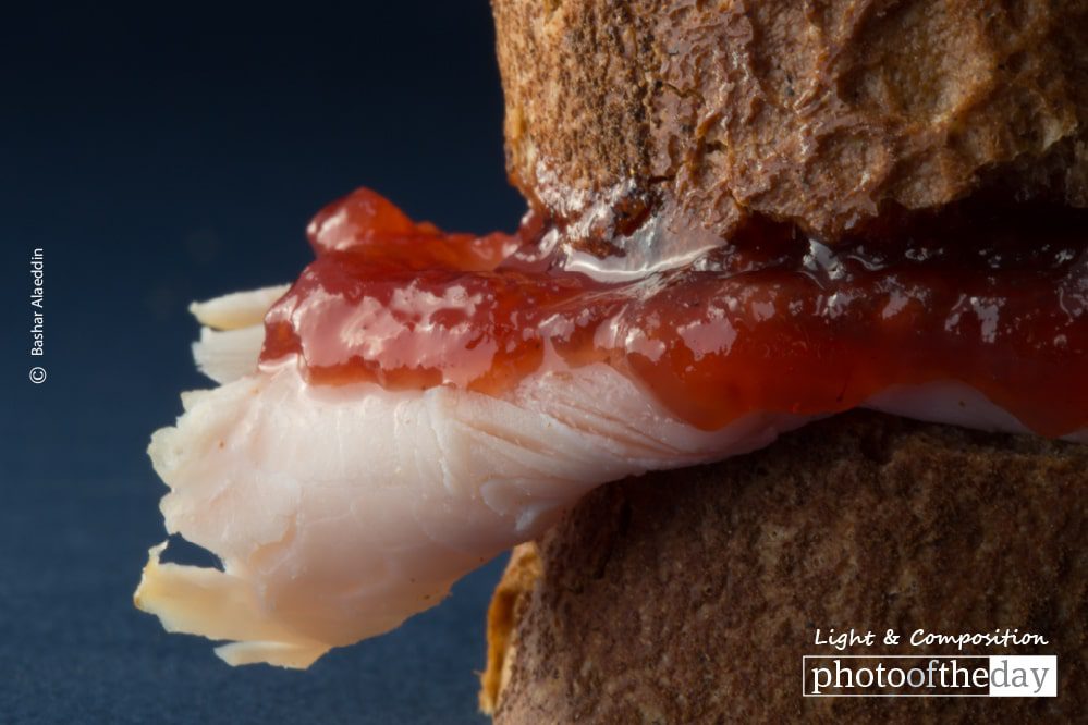 Turkey and Raspberry, by Bashar Alaeddin - Food Photography, Photography Awards, Photo of the Day, Award Winning Photography, Bashar Alaeddin