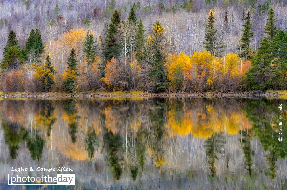 Nature Photography, Photography Awards, Photo of the Day, Claudio Bacinello, Fine Art Photography - Chilko Lake Reflection, by Claudio Bacinello Chilko Lake Reflection, by Claudio Bacinello - Nature Photography, Photography Awards, Photo of the Day, Claudio Bacinello, Fine Art Photography