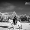 Mongolian Horseman, by Shirren Lim - Photojournalism, Black and White Photography, Portrait Photography, Photography Awards, Online Photography Courses
