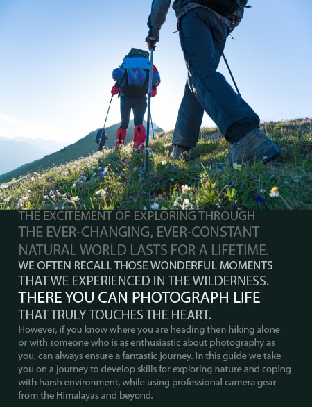 A Photographer’s Guide to Exploring Nature - Nature Photography, Landscape Photography, Wildlife Photography, Photography Guide, Outdoor Photography
