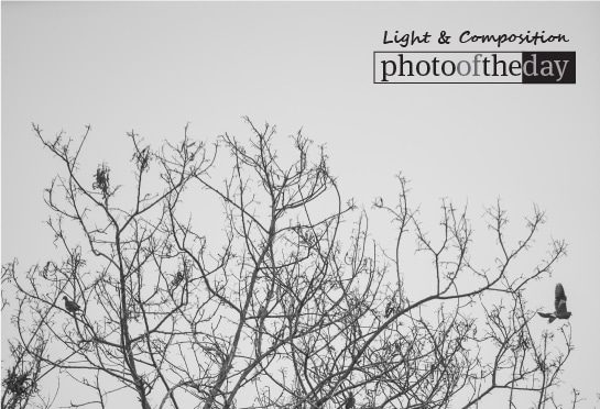 Life, by David Anthonio - Photojournalism, Black and White Photography, Art Photography, Photography Awards, Online Photography Courses