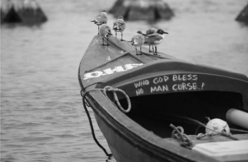 Laughing Gulls Riding the Waves, by David Anthonio - Black and white photography, Photo of the Day, Award-winning photography,  Photography, David Anthonio