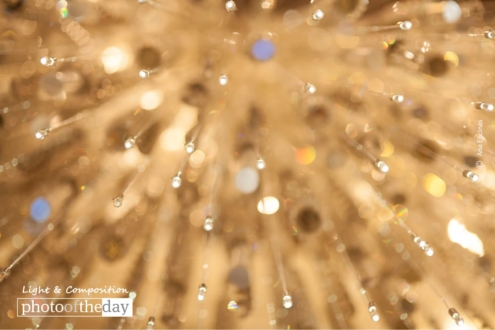 Shining Your Way, by Ana Encinas - Abstract Photography, Photography Awards, Photo of the Day, Online Photography Courses, Photography Education