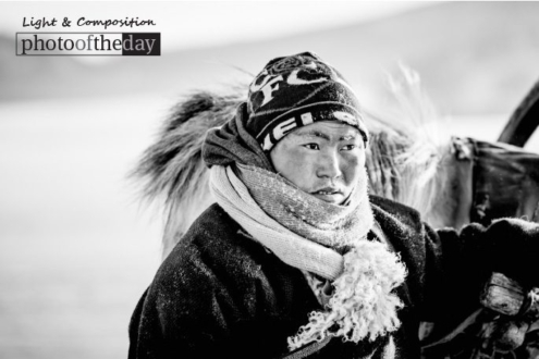 Horse Sleigh Rider, by Shirren Lim - Candid Photography, Photojournalism, Portrait Photography, Shirren Lim, Photography Awards