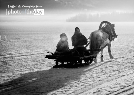 Horse Sleighing, by Shirren Lim - Photojournalism, Award-Winning Photography, Travel Photography, Shirren Lim, Light and Composition