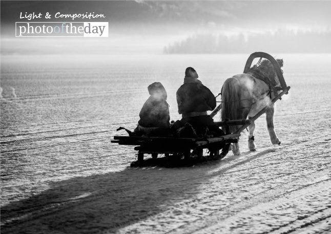 Photojournalism, Award-Winning Photography, Travel Photography, Shirren Lim, Light and Composition - Horse Sleighing, by Shirren Lim Horse Sleighing, by Shirren Lim - Photojournalism, Award-Winning Photography, Travel Photography, Shirren Lim, Light and Composition