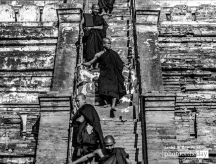 Staircase Monks, by Shirren Lim - Photojournalism, Black and White Photography, Photography Awards, Art Photography, Shirren Lim