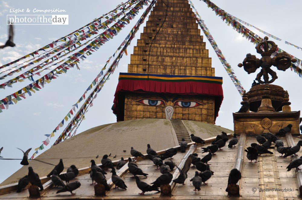 Wisdom Eyes and Pigeons, by Ryszard Wierzbicki - Travel Photography, Photo of the Day, Award Winning Photography, Ryszard Wierzbicki, Boudhanath