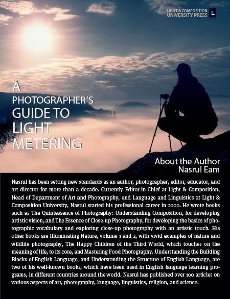 light metering, camera metering modes, photography techniques, exposure photography, photography guide - A Photographer's Guide to Light Metering A Photographer's Guide to Light Metering - light metering, camera metering modes, photography techniques, exposure photography, photography guide