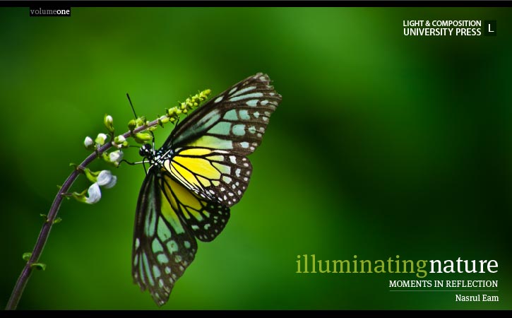Illuminating Nature, Volume One - Nature Photography, Fine Art Photography, Photo Book, Photography Publication, Nasrul Eam