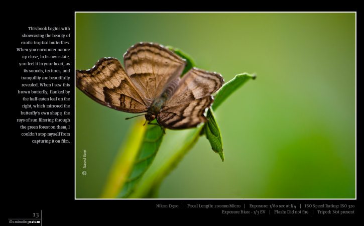 Illuminating Nature, Volume One - Nature Photography, Fine Art Photography, Photo Book, Photography Publication, Nasrul Eam