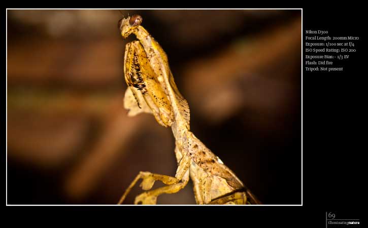 Illuminating Nature, Volume One - Nature Photography, Fine Art Photography, Photo Book, Photography Publication, Nasrul Eam