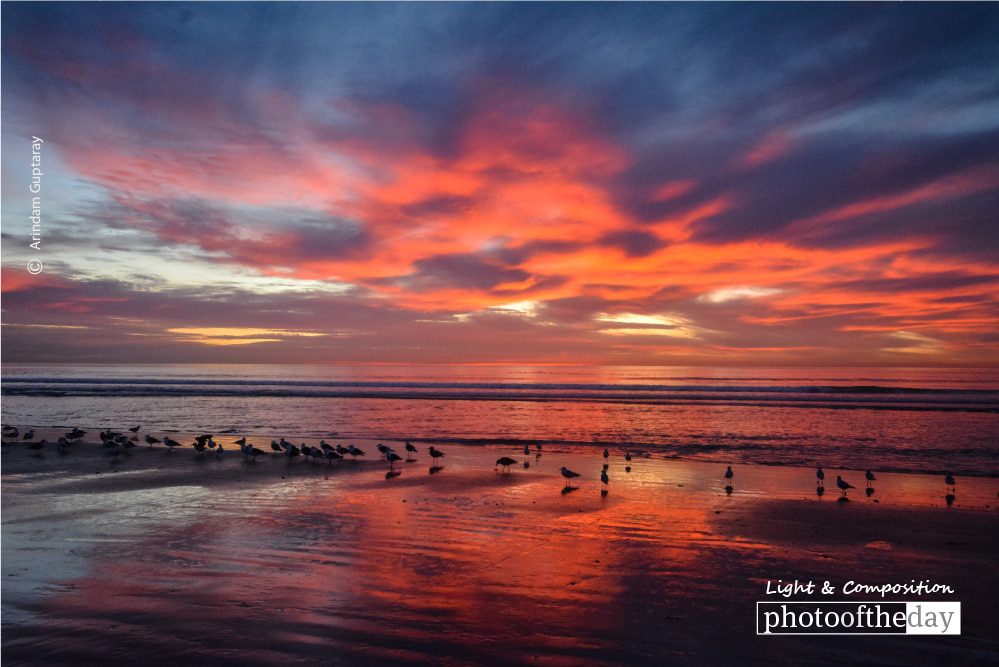 Birds, Sea, and the Fiery Sky, by Arindam Guptaray - Sunset Photography, Landscape Photography, Photo of the Day, Photography Awards, Online Photography Courses