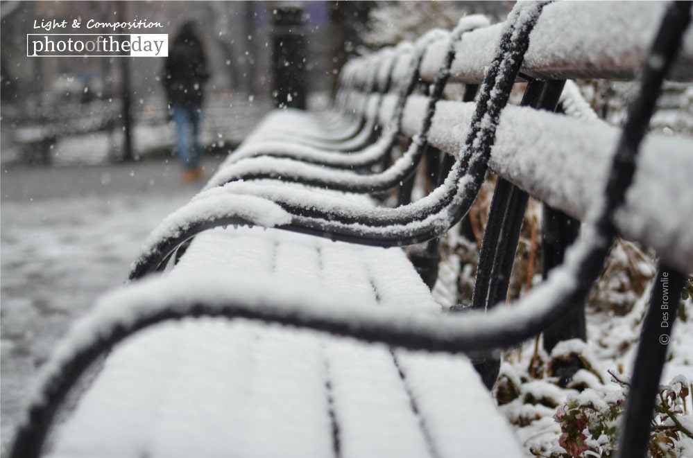 Nature Photography, Award Winning Photography, Photo of the Day, Winter Photography, Des Brownlie - Snow Covered Benches, by Des Brownlie Snow Covered Benches, by Des Brownlie - Nature Photography, Award Winning Photography, Photo of the Day, Winter Photography, Des Brownlie