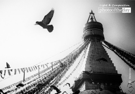 Boudhanath, by Shirren Lim - Travel Photography, Boudhanath, Photojournalism, Award Winning Photography, Shirren Lim