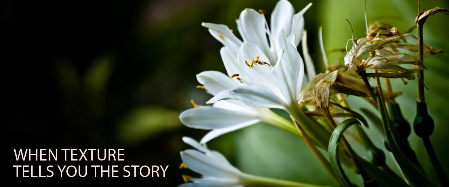 When Texture Tells You the Story - Texture Photography, Photojournalism, Art Photography, Photography Techniques, Photography Education