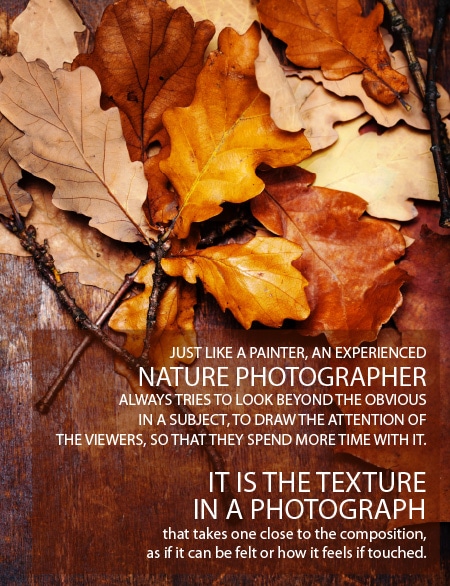 When Texture Tells You the Story - Texture Photography, Photojournalism, Art Photography, Photography Techniques, Photography Education