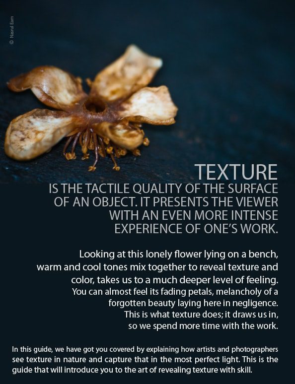When Texture Tells You the Story - Texture Photography, Photojournalism, Art Photography, Photography Techniques, Photography Education