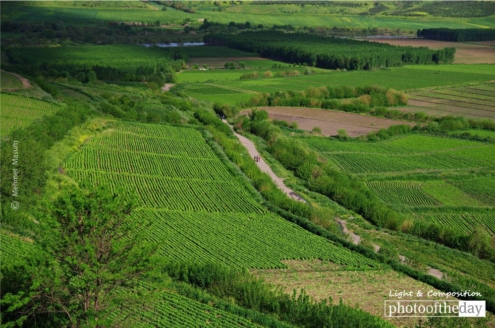 Hevsel Gardens in Diyarbakir, by Mehmet Masum - Photojournalism, Landscape Photography, Documentary Photography, Mehmet Masum, Light & Composition