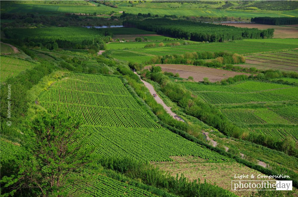 Hevsel Gardens in Diyarbakir, by Mehmet Masum - Photojournalism, Landscape Photography, Documentary Photography, Mehmet Masum, Light & Composition