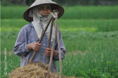A Vietnamese Farmer, by Ryszard Wierzbicki - Photojournalism, Documentary Photography, Art Photography, Photography Awards, Ryszard Wierzbicki