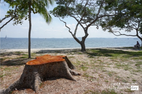 Live and Let Live, by Siew Bee Lim - Nature Photography, Photo of the Day, Photography Awards, Art Photography, Online Photography Courses