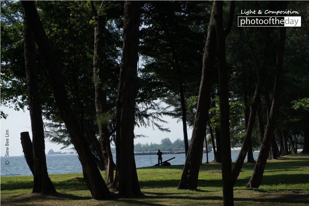 Serene, by Siew Bee Lim - Nature Photography, Photography Award, Photo of the Day,  Award Winning Photography, Online Photography Courses
