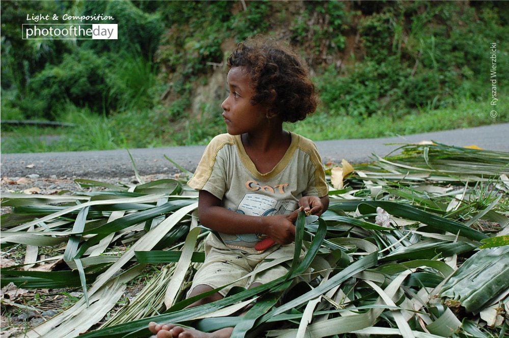 The Basket Weaver Girl, by Ryszard Wierzbicki - Photojournalism, Candid Photography, Documentary Photography, Photography Awards, Flores Island