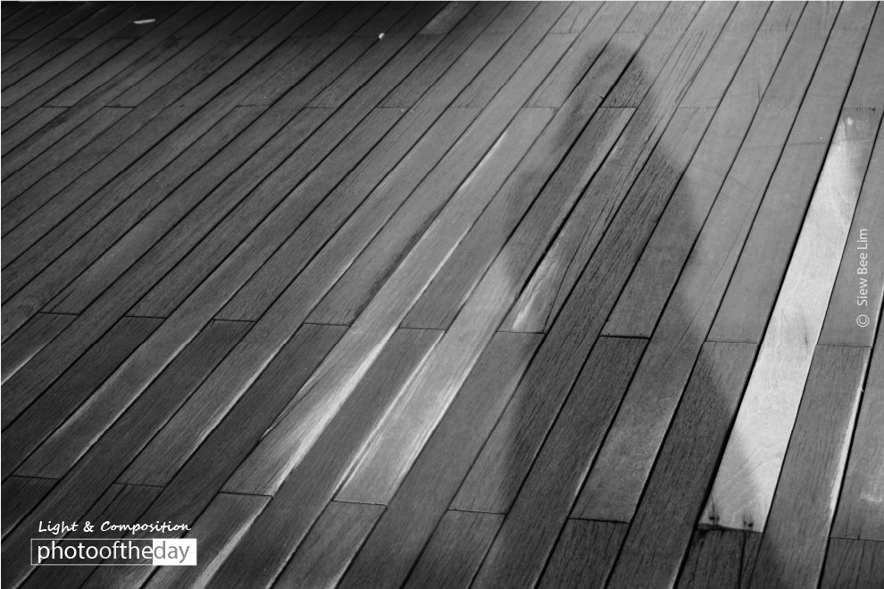 A Ray of Sunshine, by Siew Bee Lim - Photo of the Day, Black and White Photography, Photography Awards, Online Photography Courses, Light & Composition University