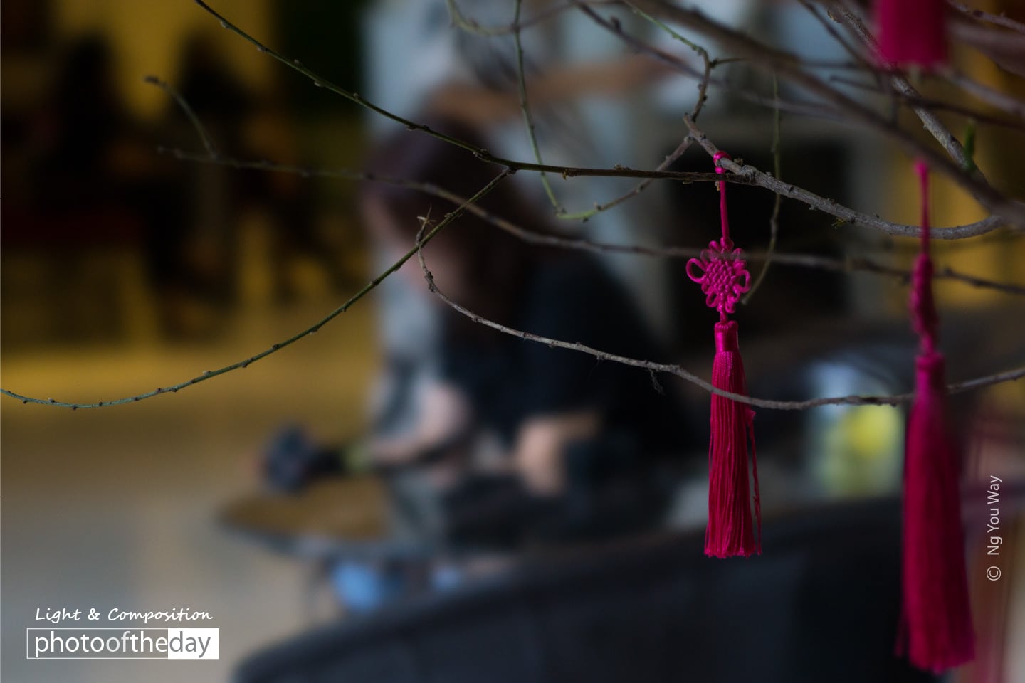 A Friend, by Ng You Way - Still Life Photography, Photography Awards, Photo of the Day, Art Photography, Online Photography Courses