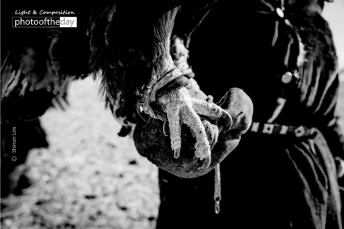 Talons, by Shirren Lim - Photojournalism, Award Winning Photography, Black and White Photography, Eagle Photography, Shirren Lim