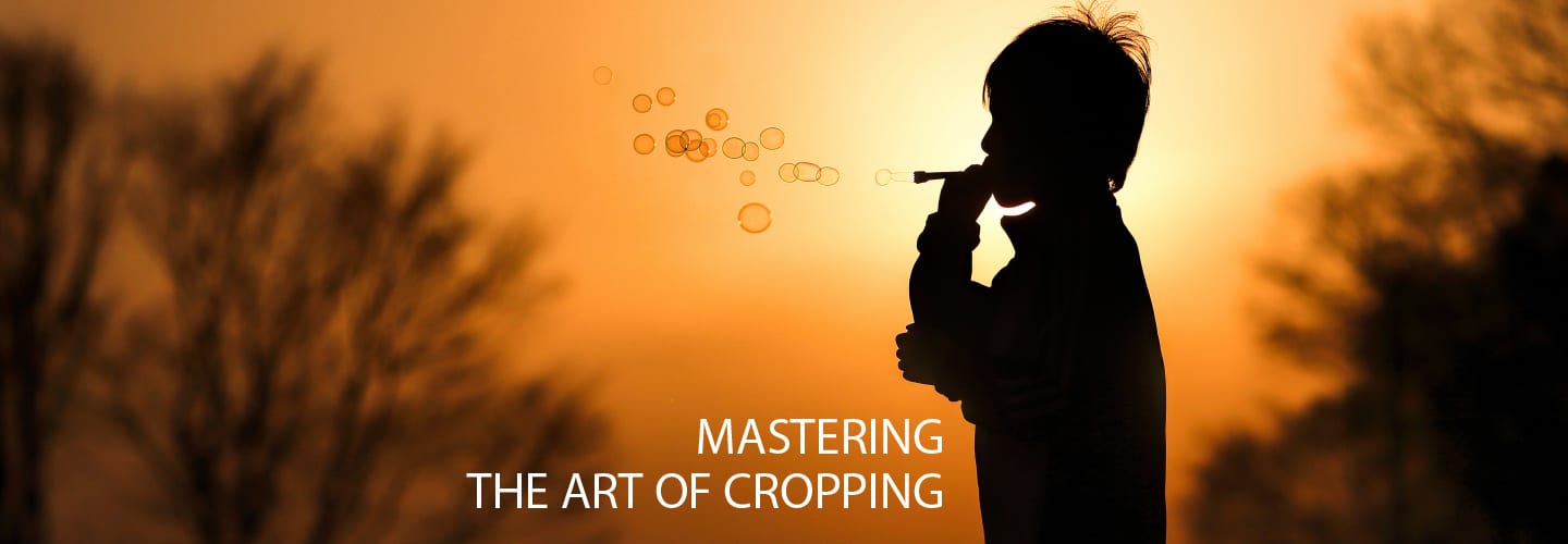 Mastering the Art of Cropping - cropping, photography techniques, image composition, photo editing, photography education