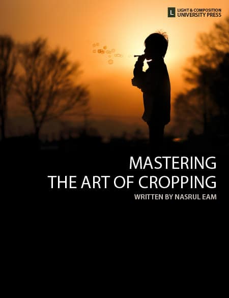 Mastering the Art of Cropping - cropping, photography techniques, image composition, photo editing, photography education