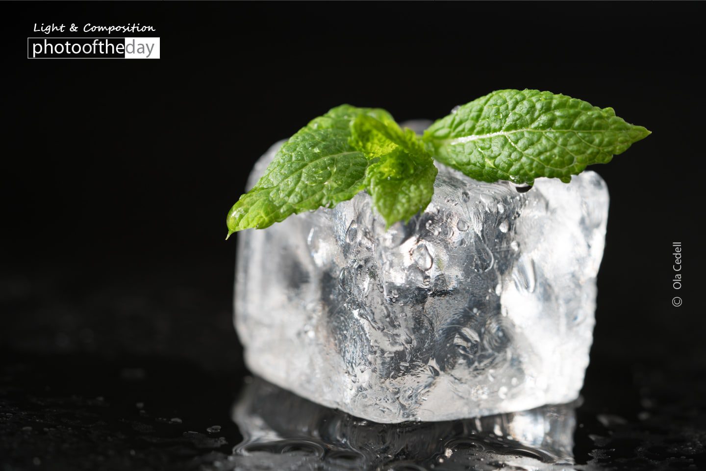 Mint on Ice, by Ola Cedell - Food Photography, Macro Photography, Depth of Field, Photo of the Day, Light & Composition University