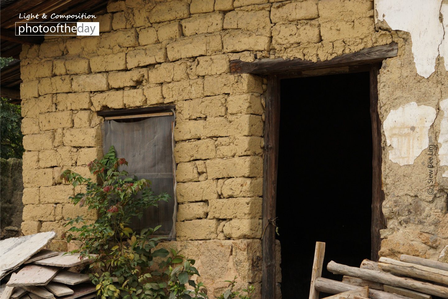Yellow Wall, by Siew Bee Lim - Photo of the Day, Still Life Photography, Photography Awards, Online Photography Courses, Award Winning Photography