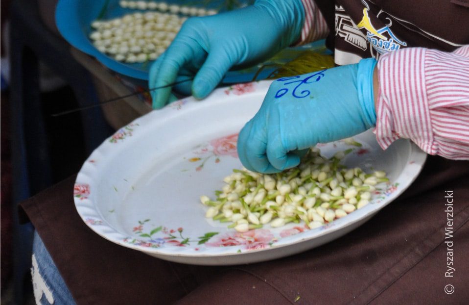 Merit Flowers, by Ryszard Wierzbicki - Photojournalism, Travel Photography, Award Winning Photography, Merit Flowers, Ryszard Wierzbicki