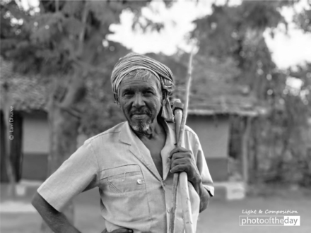 The Ox Herder, by Lavi Dhurve - Photojournalism, Portrait Photography, Award Winning Photography, Ox Herder, Lavi Dhurve
