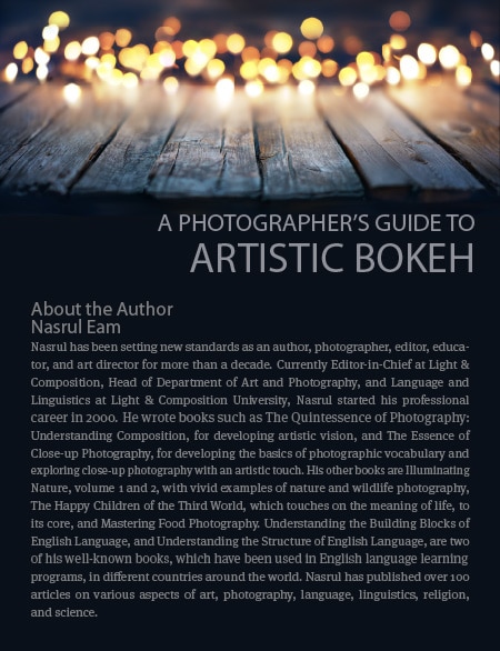A Photographer’s Guide to Artistic Bokeh - Bokeh, Photography Techniques, Background Blur, Photography Guide, Artistic Photography
