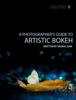 A Photographer’s Guide to Artistic Bokeh - Bokeh, Photography Techniques, Background Blur, Photography Guide, Artistic Photography